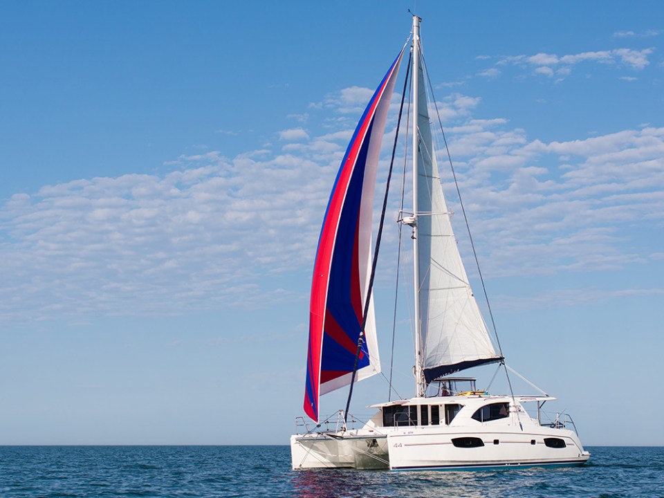 Catamaran with white sails and colorful spinnaker sailing on the ocean under a clear blue sky.