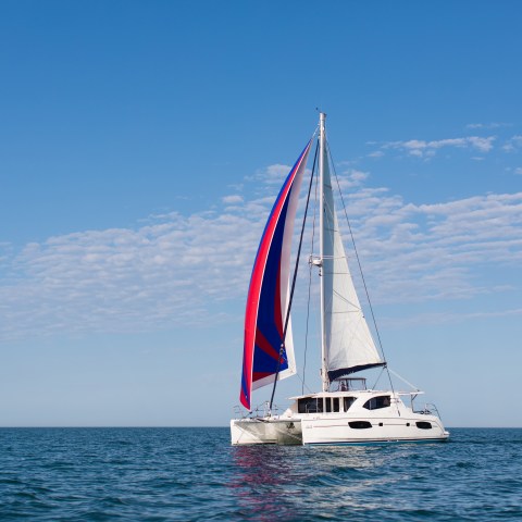 Catamaran with colorful sail on calm sea under clear blue sky.