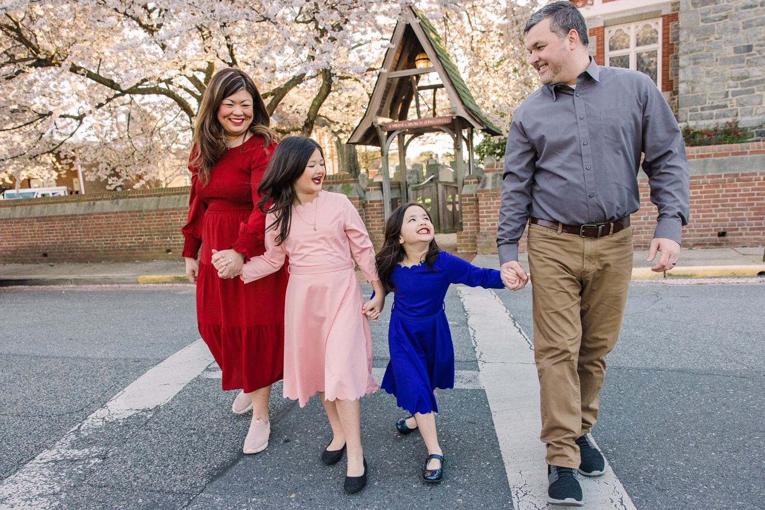 Family of four walking hand in hand under cherry blossoms on a sunny day.