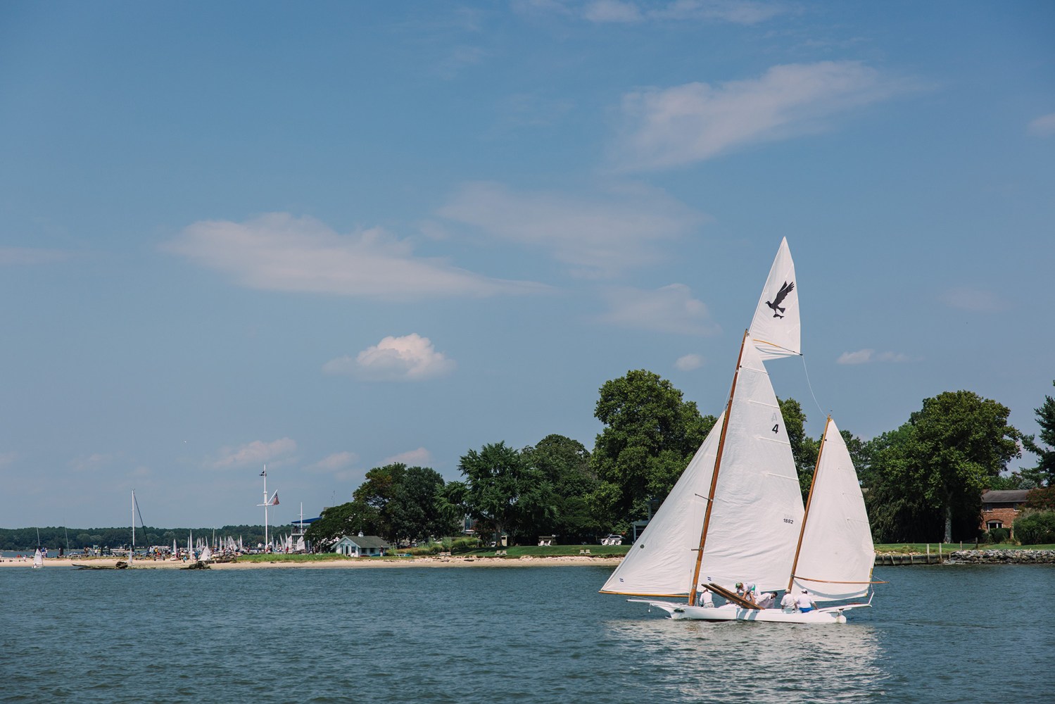 Sailboat on a lake with trees and buildings in the background under a blue sky.
