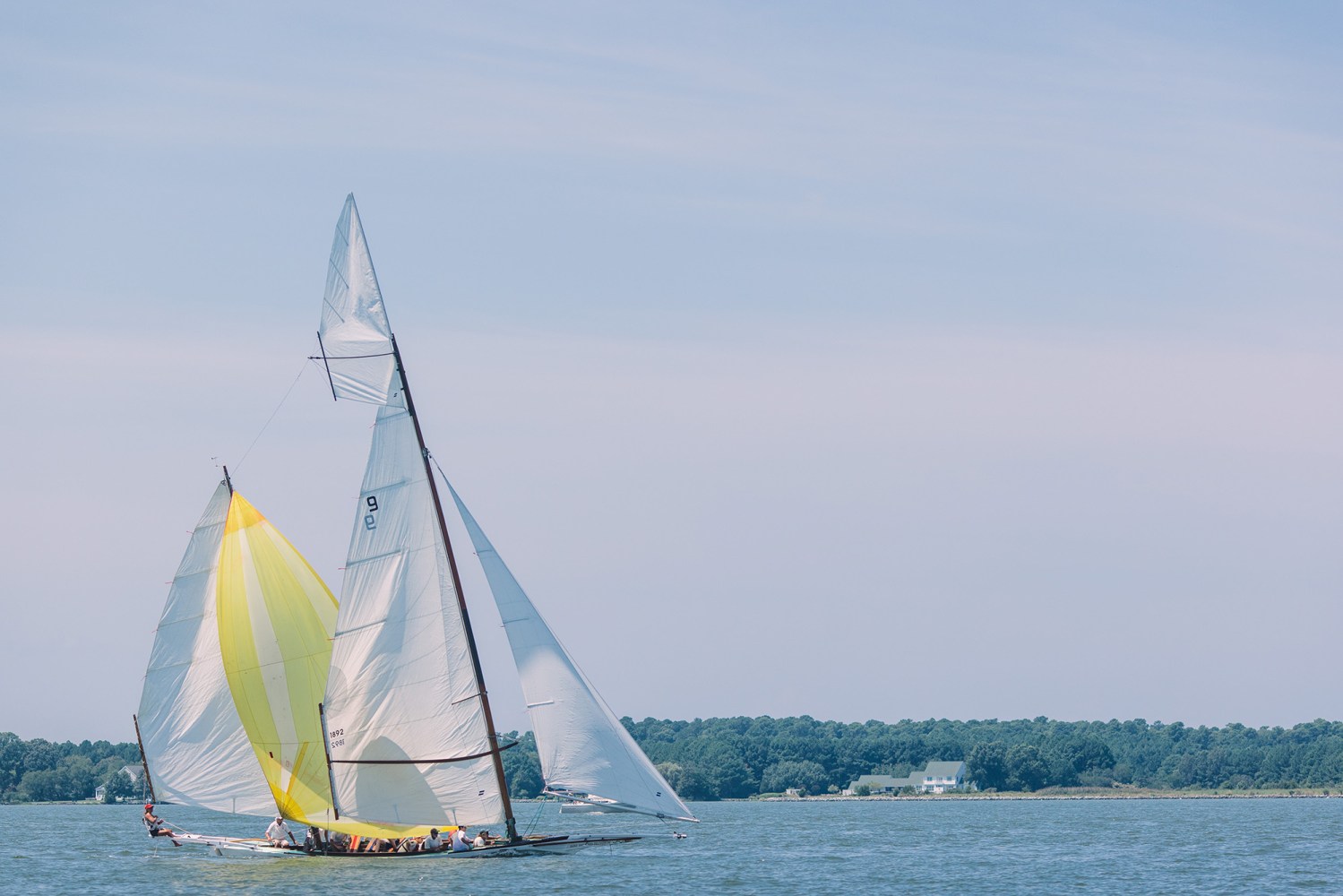 Sailboats with white and yellow sails on a calm lake with a distant shoreline.