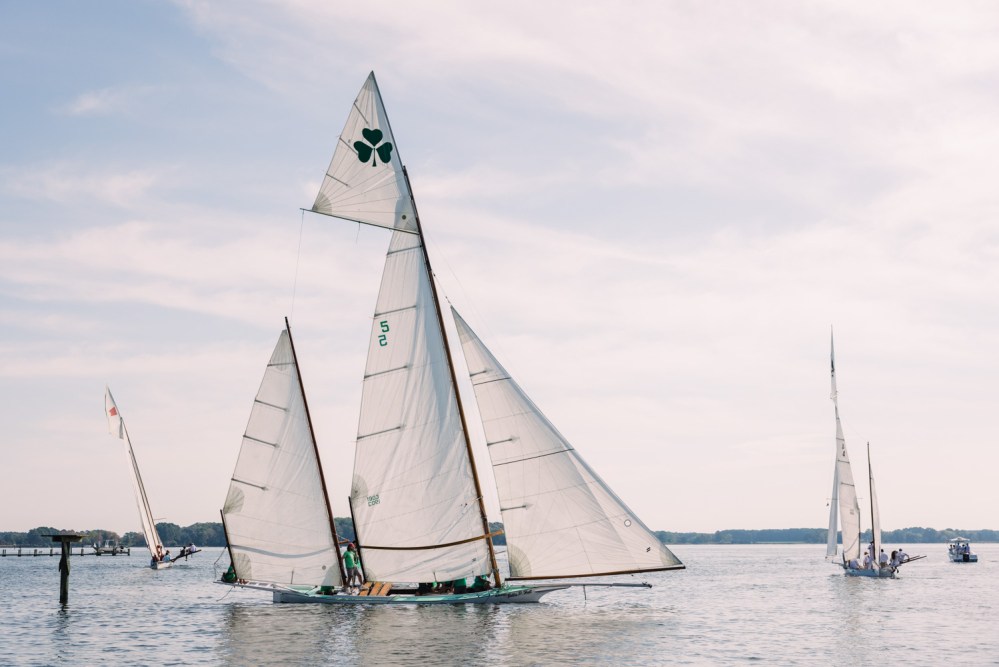 Three sailboats on calm water under a clear sky.