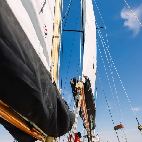 View from a sailboat deck looking up at white sails against a clear blue sky.